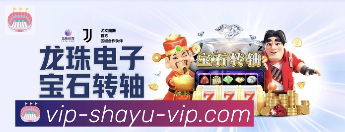 对战数据统计